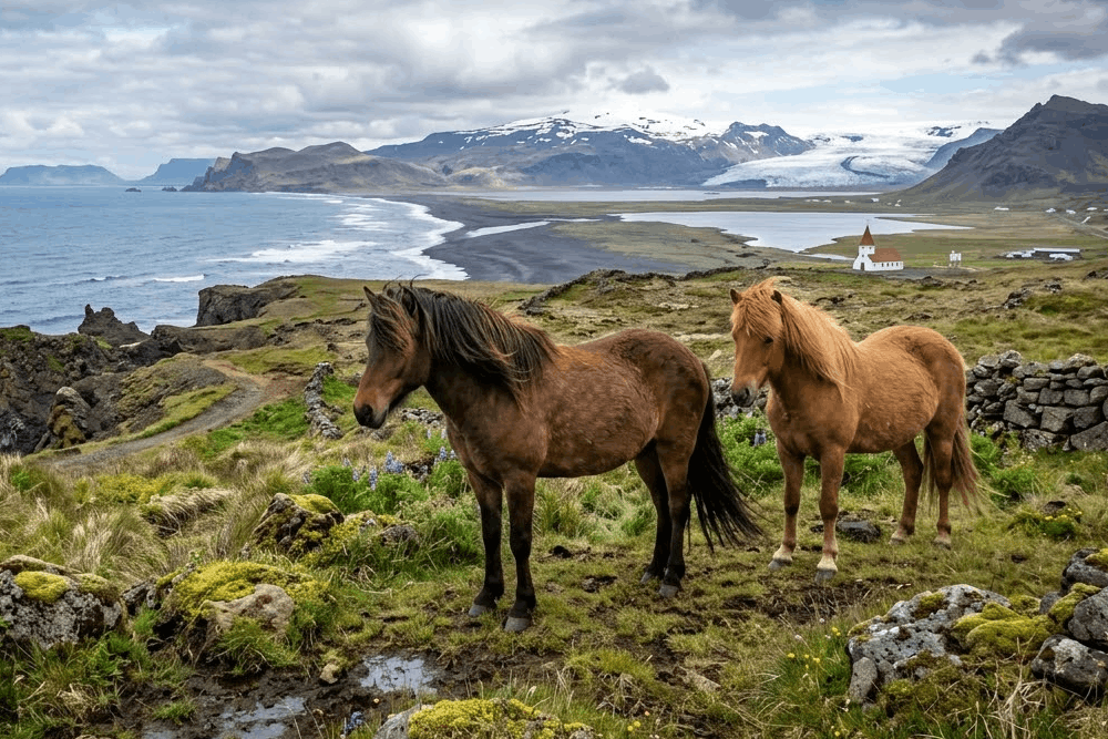Isländische Pferdenamen Isländische Pferdenamen